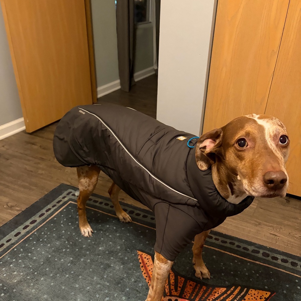 Ruffwear Furness Dog Jacket